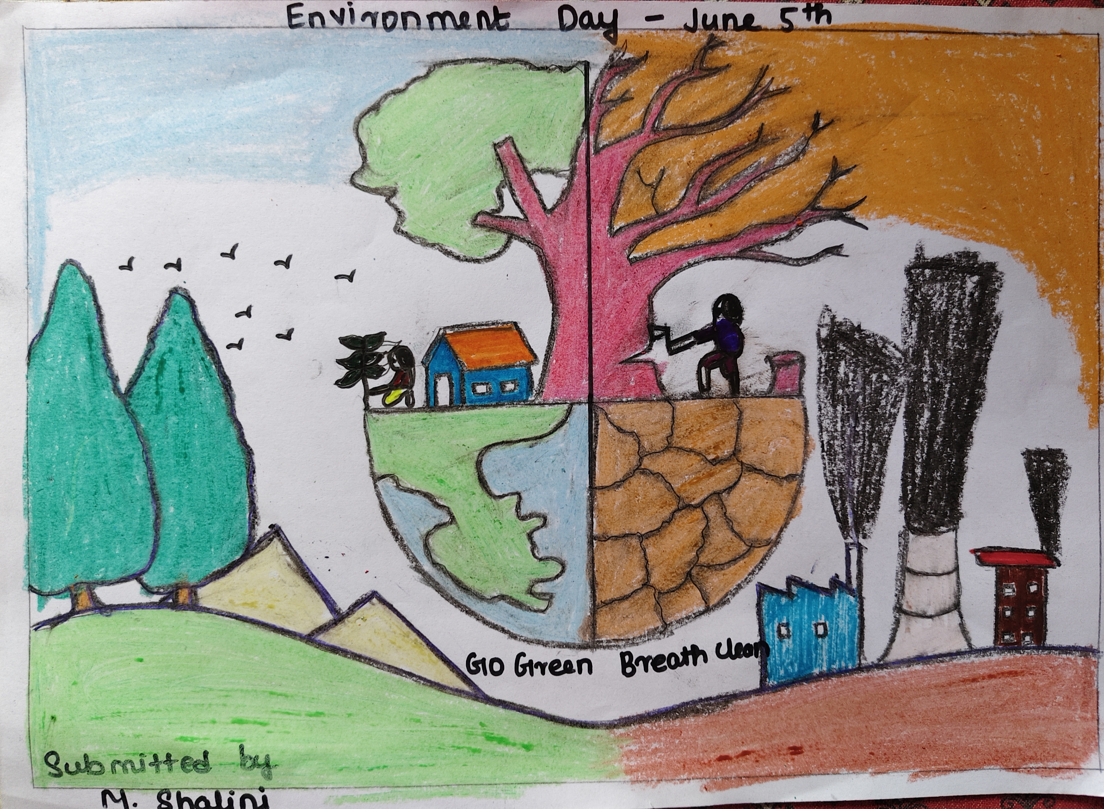 ENVIRONMENT DAY